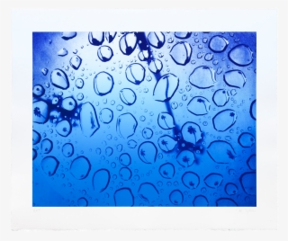 Todd Squires “palm Drops” - Circle