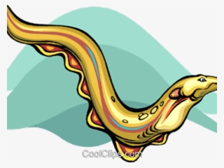 Eel Clipart Vector