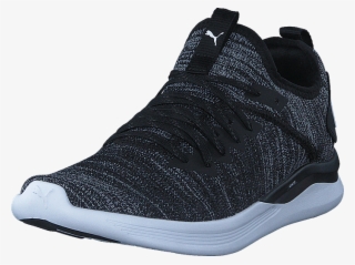 Ignite Flash Evoknit Puma Black Asphalt Puma White - Basketball Shoe