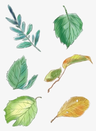Original Hand Painted Green Leaves Set Drawings Png - Design
