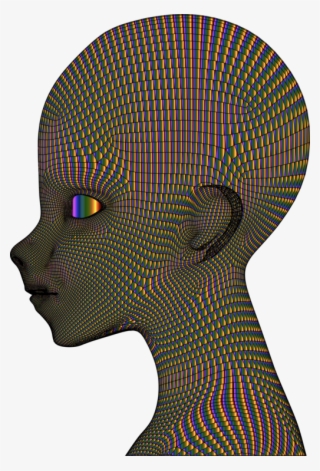 Hand Fan Silk Wedding - Rolex Precision Lady Gold