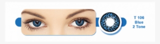 Beauty Contact Lenses Tiger T - Eye Liner