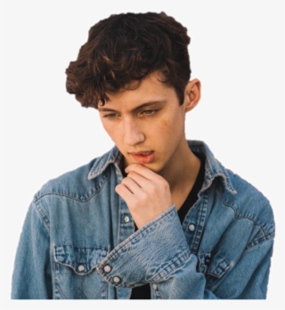 Troyesivan Sticker - Troye Sivan Pastel Pink