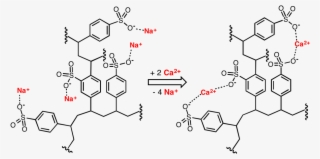 Cation Exchange Resin Structure