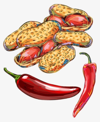 Indian Chilli & Peanuts Exporters - Illustration