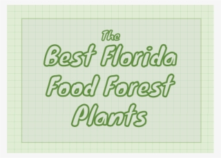 The Best Florida Food Forest Plants - Handwriting