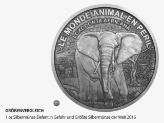 Groessenvergleich Groesste Silbermuenze Der Welt 15638cd585c2fd - World Biggest Silver Coin
