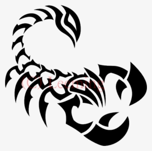 Scorpion Tattoos Clipart Ribbon - Tribal Scorpion Tattoo Png