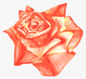 Rose Airbrush Vector Drawing Orange Red Ye - Rosa Laranja Desenho