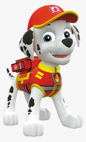 Paw Patrol - Marshall Paw Patrol Png