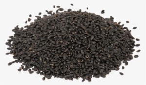 Basil Seeds Exporters - Sabja Seeds Plant