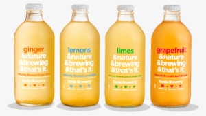 Sodabrewery 4 Bottles - Portable Network Graphics