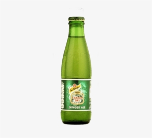 Schweppes Canada Dry Ginger Ale