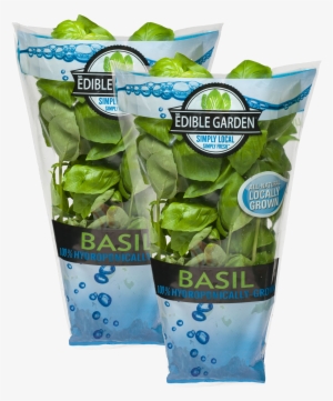 Living Basil - Hydroponic Basil In Bag