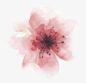 Event Decor - Cahier De La Maitresse 2018 2019