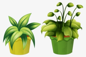 Flower Pot 15 - Vaso Planta Desenho Png