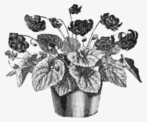 Vintage Flower Pot Illustration