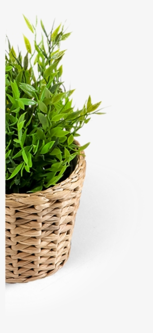 Wicker Flowe Pot - Grass