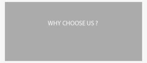 Grumpy Mule - Grumpy Mule Logo