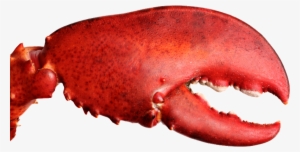 Lobster Claw Png - Eat Show Los Angeles