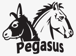 Pegasus Society - Pegasus