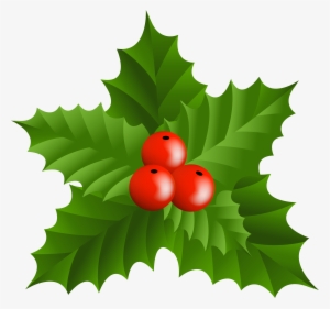 Christmas Holly Border Png