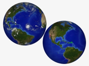 Clark Vs. The Rainforest