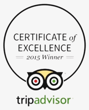 Cert Of Excellence - Listerine Antiseptic Mouthwash, Cool Mint - 250 Ml