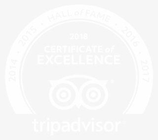 Tripadvisor Hall Of Fame Award - Game Workers Unite