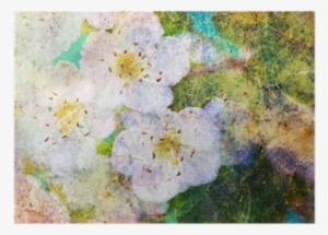 Spring White Flowers And Messy Watercolor Splatter - Watercolor Painting