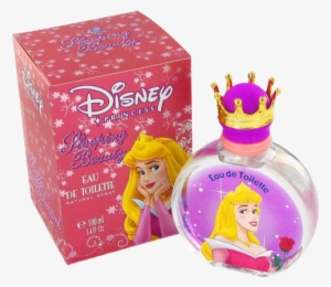 Flatchest - Disney Sleeping Beauty Products