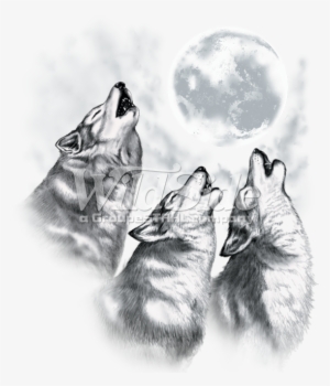 3 Wolves Howling At The Moon - Wolves Howling At The Moon Drawing
