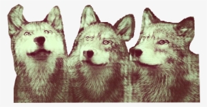 Wolf Clipart Tumblr Transparent - Transparent Wolf