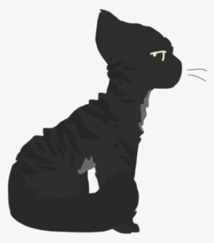 Lodestone - Peachwing - Domestic Short-haired Cat