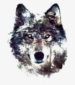 Wolf Beauties - Волк Hd