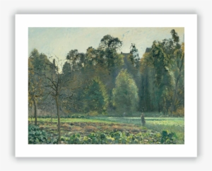 The Cabbage Field, Pontoise - Pissarro The Cabbage Field