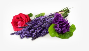 Trublooms - Com - Chicago