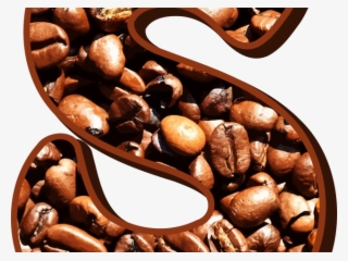Coffee Beans Clipart Apple Seed - Potoh Huruf S