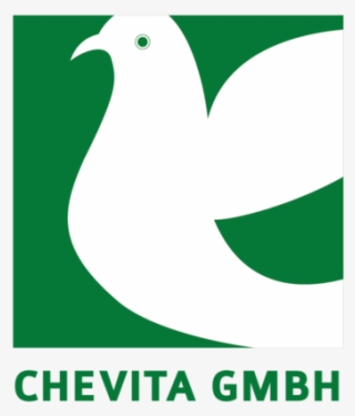 Another Exhibitor At The Trade Fair Of Racing Pigeons - Illustration