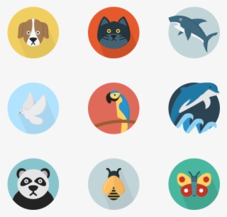 Animals - Multimedia Png