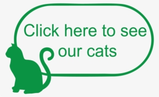 Catt-02 - Illustration