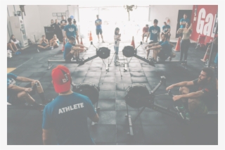 Body Building - Free Fitness