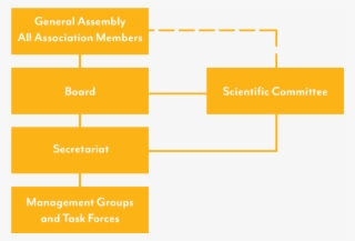 Organisation & Structure Graph - Diagram