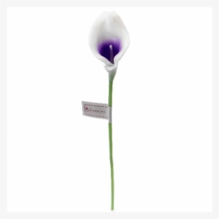 Orchid, Calla & Rose Wedding Flowers - Tulip