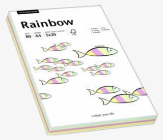 Printer Paper And Foils