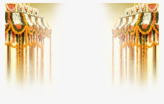 October 14th, - Macro Photography