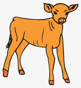 Baby Orange Standing Animal Calf Bovine - Calf Clipart