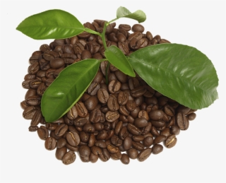 Coffee With Leaf Png - Coffee
