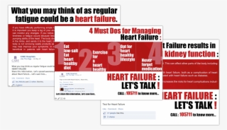 Awards And Accolades - Online Advertising