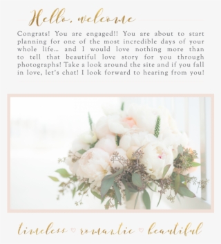 Then I Bought A Pack Of 20 Mg Cialis Tablets, Not Levitra - Garden Roses